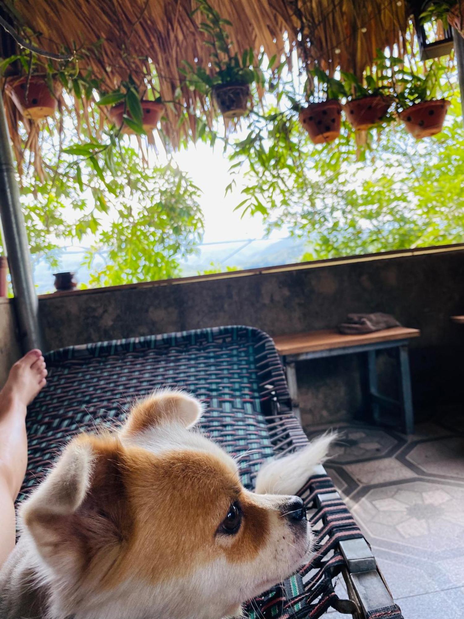 Homestay Chinh Bi Yen Bai Exterior photo