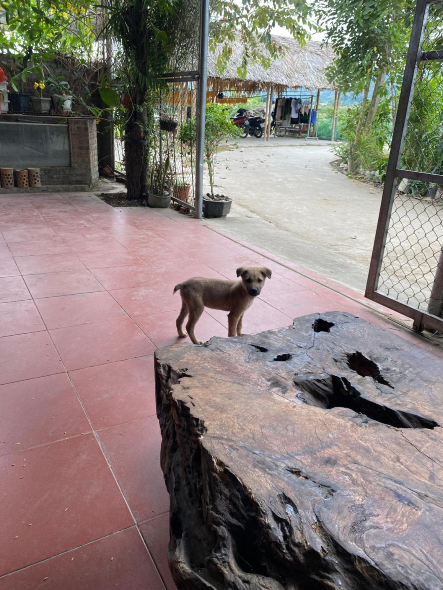 Homestay Chinh Bi Yen Bai Exterior photo