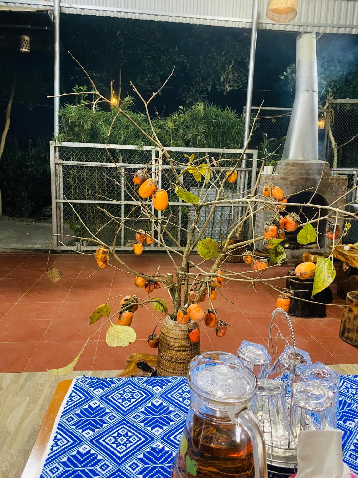 Homestay Chinh Bi Yen Bai Exterior photo